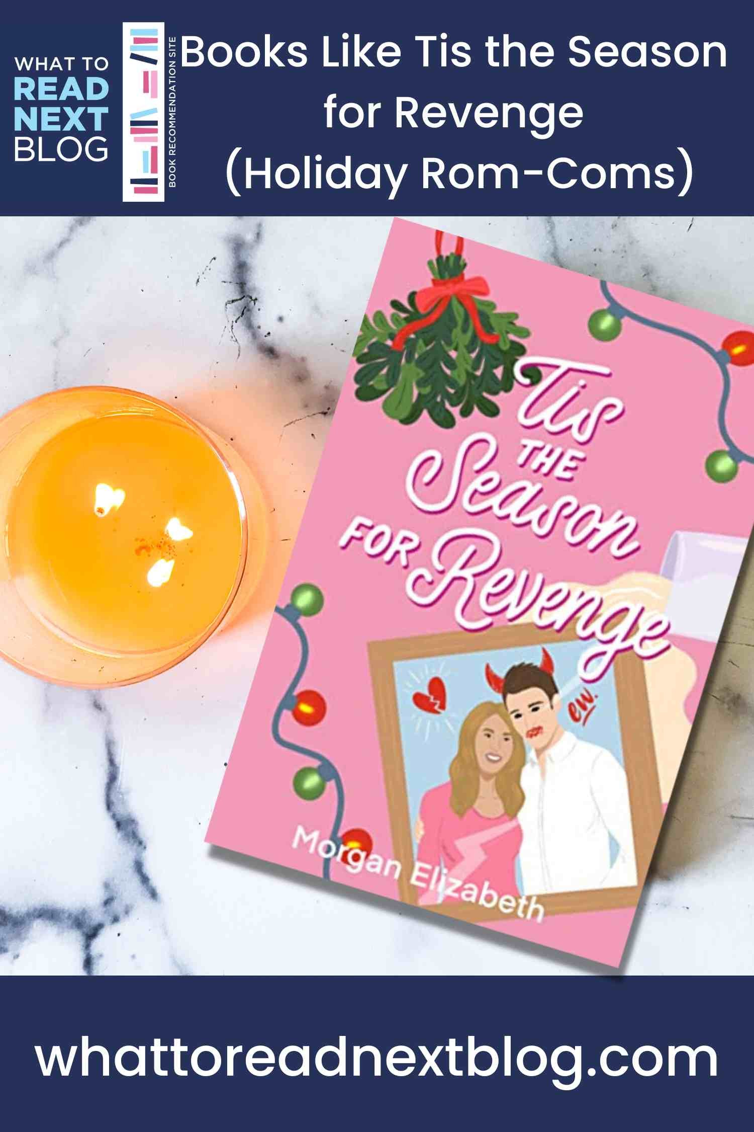 10 Books Like Tis The Season For Revenge I Holiday What to Read Next